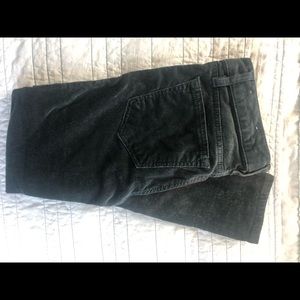 00 Petite Loft Corduroy Pants in forest green